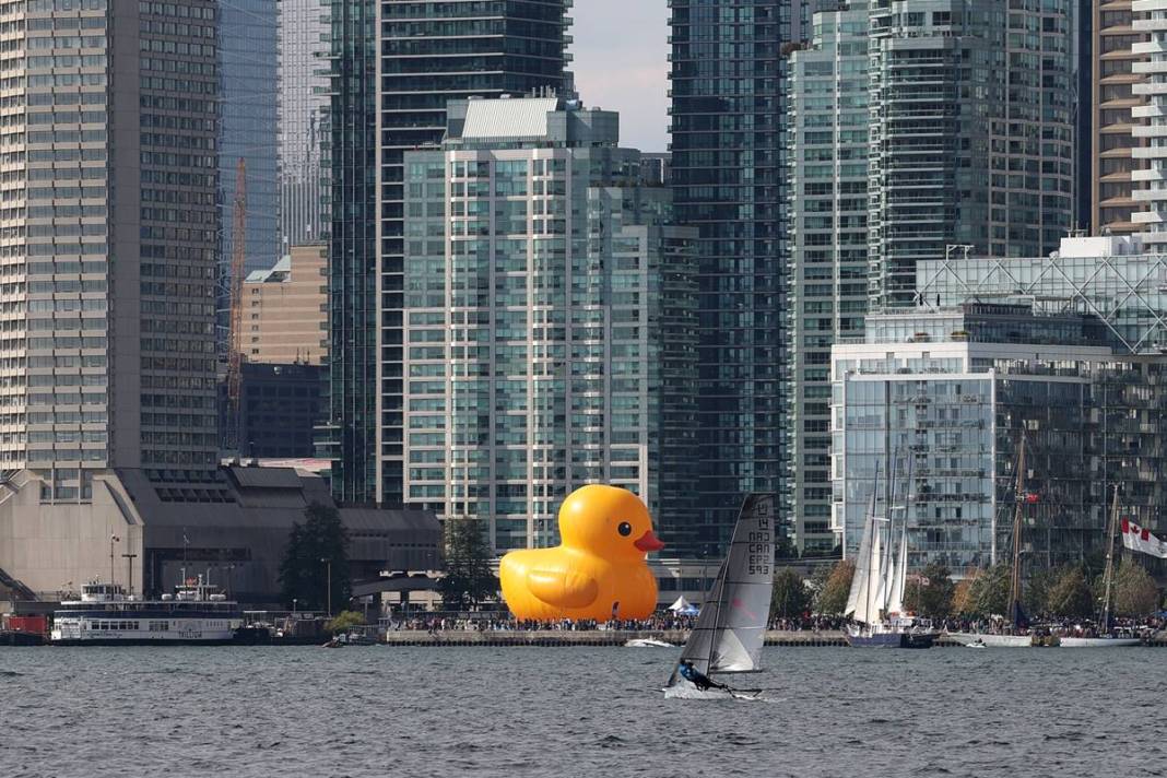Kente gelen turistler, onu görünce gözlerine inanamadı! Parmakla gösterip endişeyle baktılar 18